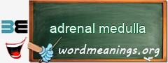 WordMeaning blackboard for adrenal medulla